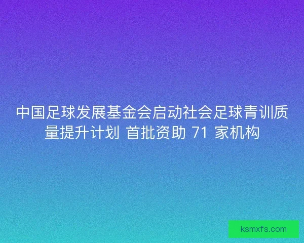 中国足球发展基金会启动社会足球青训质量提升计划 首批资助 71 家机构